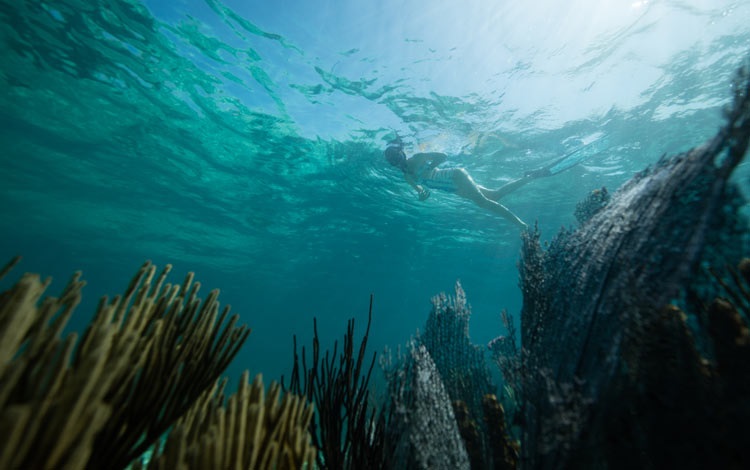 Belize snorkelling -the world’s premier snorkelling destination
