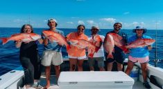 Things to Remember Before Choosing a Fishing Charter