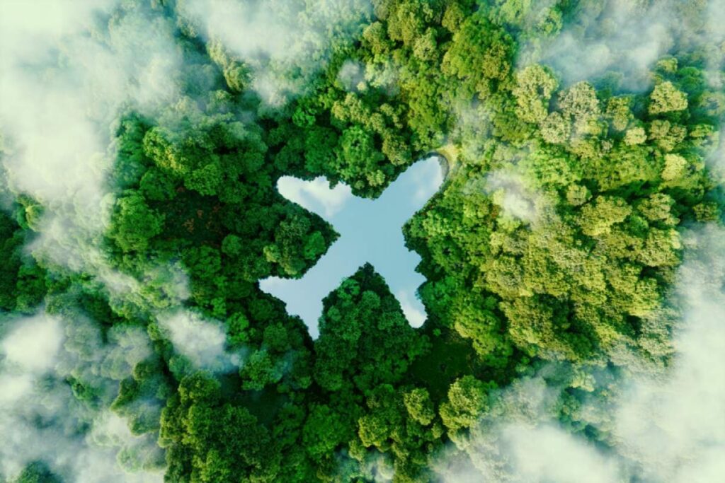 Exploring Eco-Friendly Tourism: Sustainable Ways to Travel